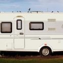 Caravan and RV Windows